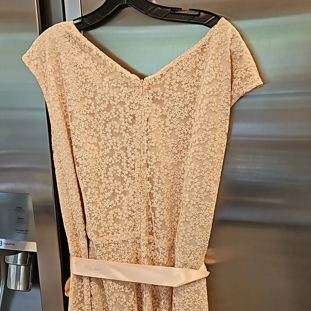 💕TAHARI by ASL💕 Glitter Lace Trim Metallic Ribbon Belted Dress Light Pink 18W - Picture 10 of 14